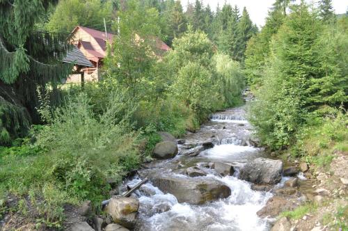 a river with rocks and trees next to a house at Zarinok in Pilipets