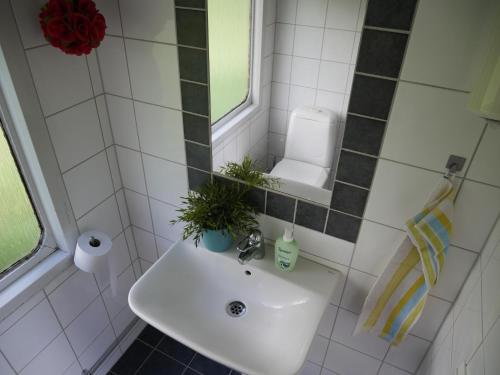 a bathroom with a sink and a mirror at SovPå Tåg i Tärnsjö in Tärnsjö