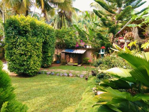 a garden with a small house in the background at Green Bird in Mirissa