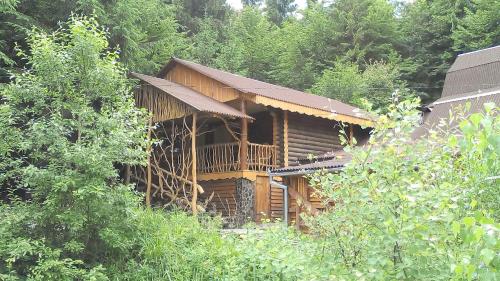 a wooden cabin in the middle of a forest at Zarinok in Pilipets
