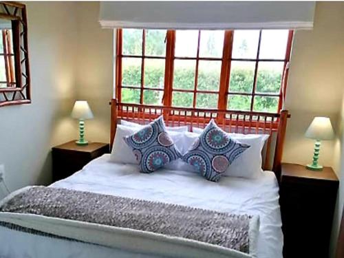 a bedroom with a bed with pillows and a window at Cicada Self Catering Cottage in Underberg