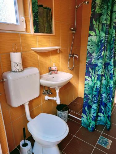 a small bathroom with a toilet and a sink at Írisz Apartman in Mezőkövesd