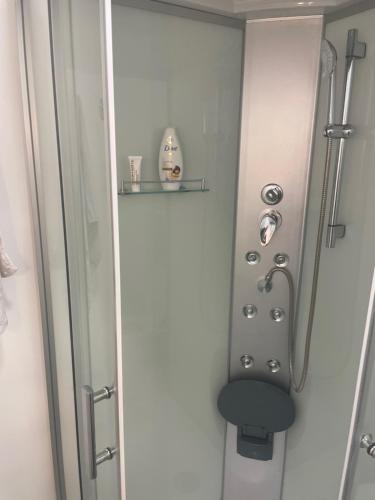 a shower with a glass door and a shelf at Room AA in Dravograd