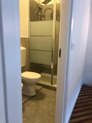 a bathroom with a toilet and a shower at GALLERIA DEL TORO 3 rooms in Bologna