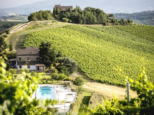 a villa on a hill with a pool in a vineyard at Belvilla by OYO Giglio in Ascoli Piceno