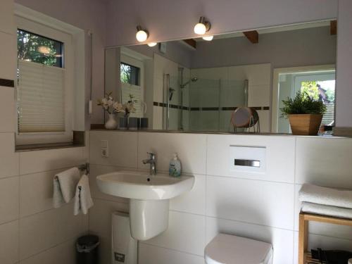 a bathroom with a sink and a mirror at Ferienwohnungen Heideidylle in Amelinghausen