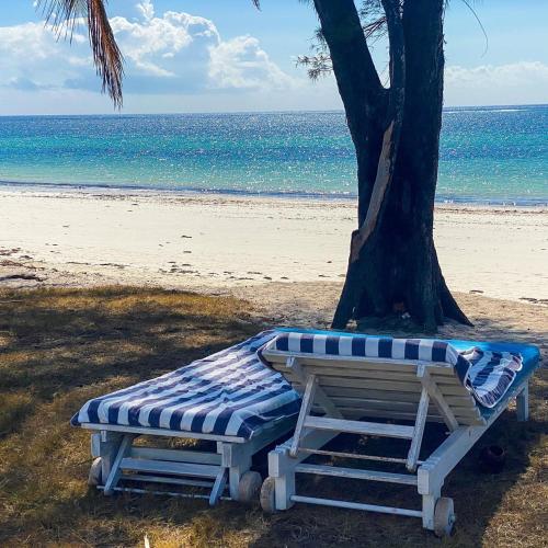 a bench sitting next to a tree on the beach at Flamboyant Diani Beach in Diani Beach