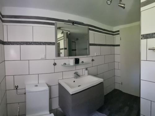 a bathroom with a toilet and a sink and a mirror at Ferienwohnung Sunnenviul in Lennestadt