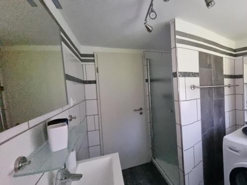 a bathroom with a shower and a sink and a mirror at Ferienwohnung Sunnenviul in Lennestadt