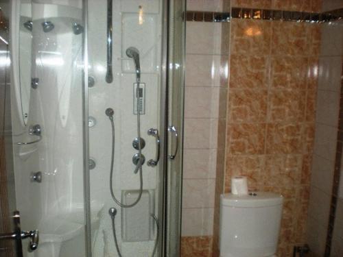 a bathroom with a shower and a toilet at Achillion Palace in Kalambaki