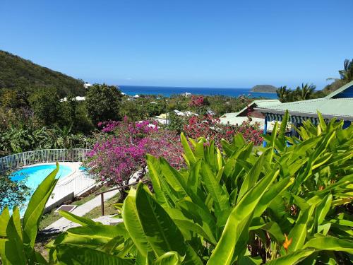 a resort with a swimming pool and some plants at La Colline Verte in Deshaies