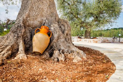 an orange jug stuck in the roots of a tree at Quattroperle Trulli - Relax - Puglia in Castellana Grotte