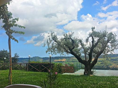a tree in the grass next to a body of water at Agriturismo MonteMaggio in Lapedona