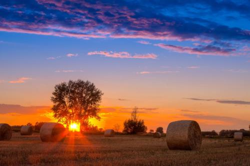 a sunset in a field with hay bales at Folwark Malinowy Chruśniak in Bisztynek