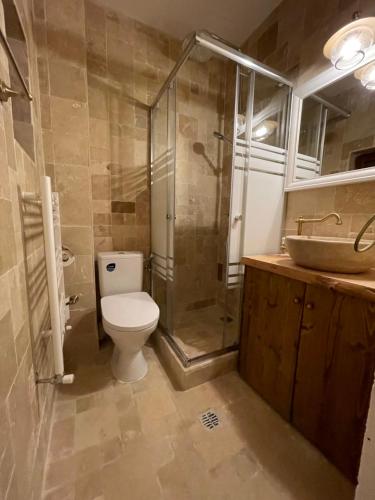 a bathroom with a toilet and a shower and a sink at Hotel Casa Romaneasca in Otopeni
