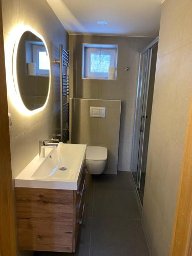 a bathroom with a sink and a toilet and a mirror at Chalupa Haj 109 in Loučná pod Klínovcem