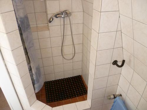 ein Bad mit einer Dusche mit einem schwarzen Gitter in der Unterkunft Vila Lenka in Rokytnice nad Jizerou