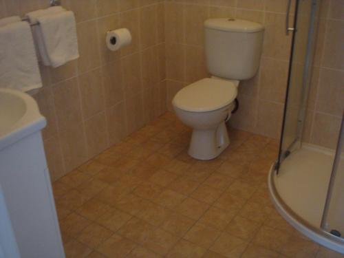 a bathroom with a toilet and a shower at Sun Apartments in Enniscrone