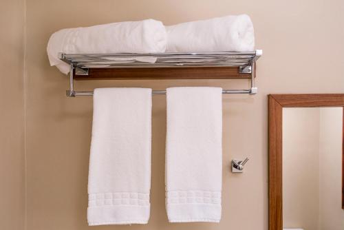 two towels on a towel rack in a bathroom at Hotel Gambrinus in Poços de Caldas