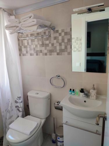 a bathroom with a white toilet and a sink at Casa Luzon, terraza-solarium con ducha y salon rustico in Villarejo de Salvanés