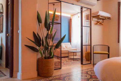 a living room with a potted plant in a room at CANDIL SUITE Realejo in Granada