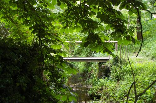 L'Impasse du Temple – Photos 5