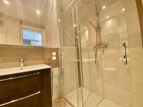 La salle de bains est pourvue d'une douche en verre et d'un lavabo. dans l'établissement "Aux Rivages du Parc" Plein Centre, Calme, Plage, à Menton