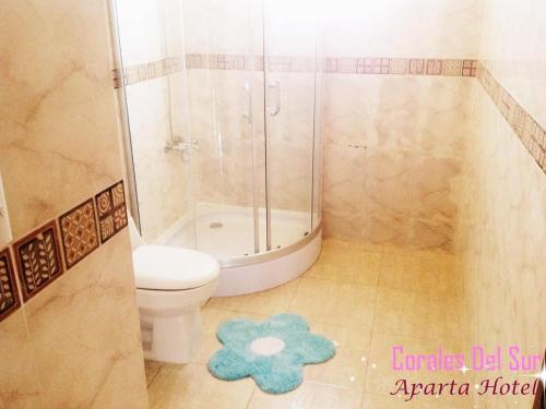 een badkamer met een douche, een toilet en een tapijt bij travis.apartments in La Viva