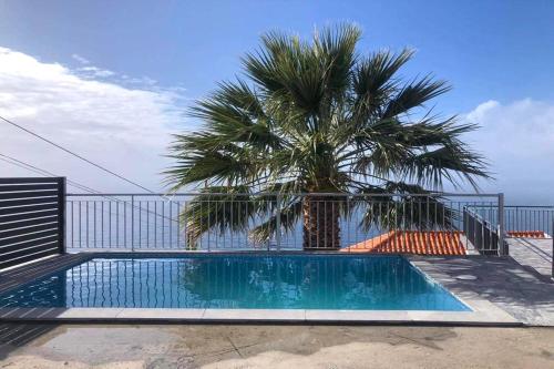 a swimming pool with a palm tree on a balcony at Villa Rosa with private pool by Holiday Rental Madeira in Ribeira Brava
