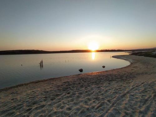 a sunset on a beach with birds in the water at Calascoglietti in Stintino