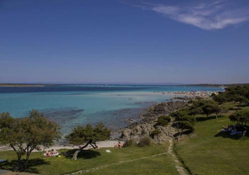 a group of people on a beach near the water at Calascoglietti in Stintino