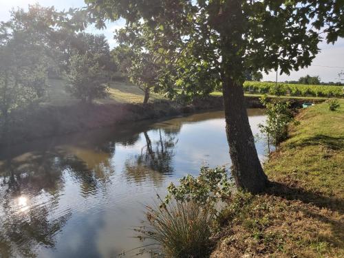 a river with a tree in the middle of it at domaine de codeval in Fronton