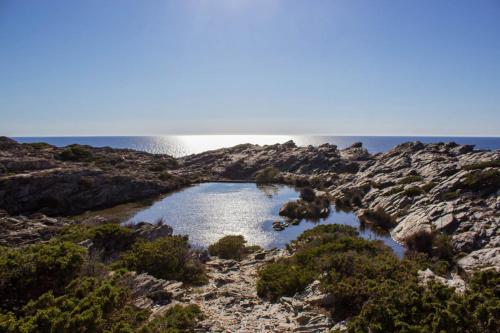 a small pool of water on the rocks near the ocean at Calascoglietti in Stintino