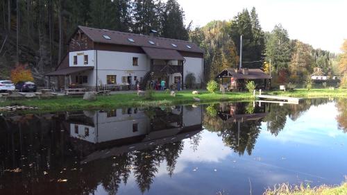 Příroda nedaleko apartmánu