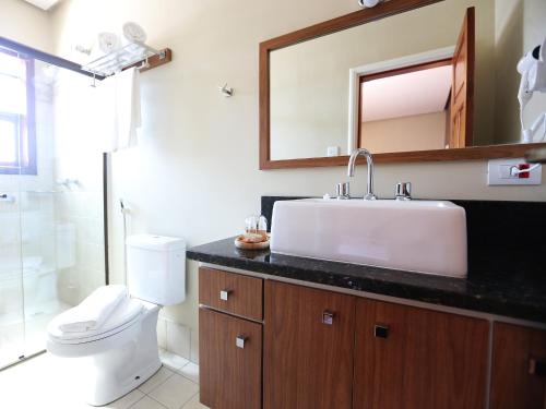 a bathroom with a sink and a toilet and a mirror at Hotel Gambrinus in Poços de Caldas