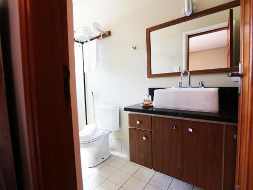 a bathroom with a toilet and a sink and a mirror at Hotel Gambrinus in Poços de Caldas