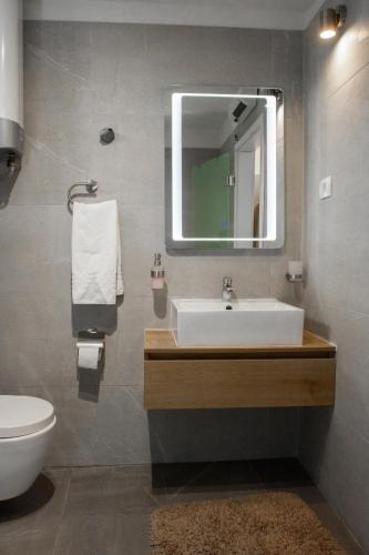 a bathroom with a sink and a mirror and a toilet at Old stone house in historical area in Split