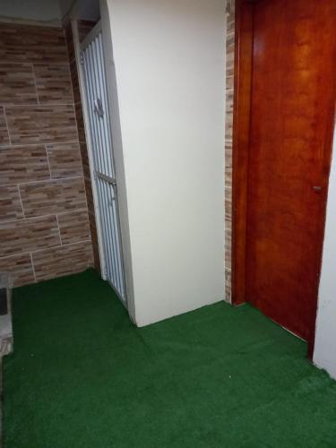 um corredor com tapete verde e uma porta em Quarto com suíte para mulheres no Rio de Janeiro