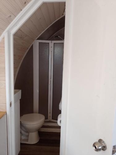 a bathroom with a toilet in an attic at Cabañas Playa Linda in Pucón