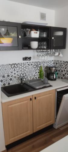 une cuisine avec un évier et une cuisinière four supérieur dans l'établissement Le Cap Marina, au Cap d'Agde