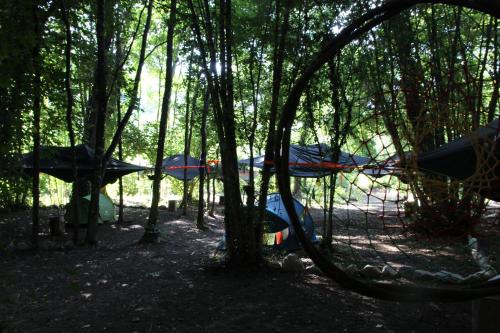 Laino Borgo的住宿－River Tribe Experience Camp，树林里一群树木繁茂的帐篷