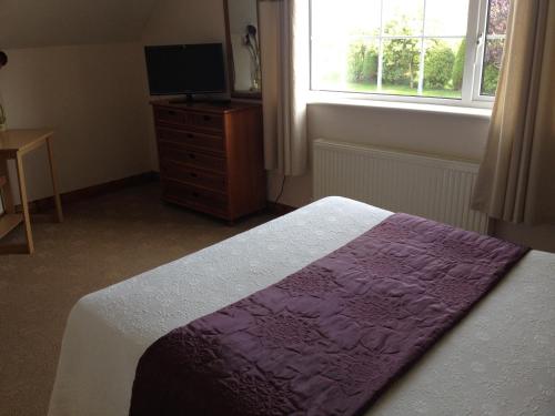 a bedroom with a bed and a tv and a window at The Well Bed & Breakfast in Clonakilty