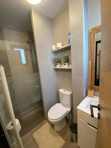 a small bathroom with a toilet and a sink at Ferienhaus Dana in Steinhaus am Semmering