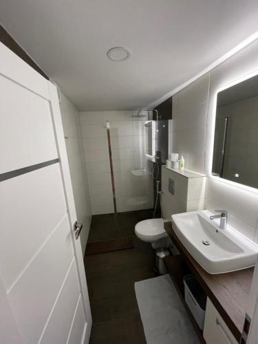 a small bathroom with a sink and a toilet at Apartmány U Lípy in Tatobity
