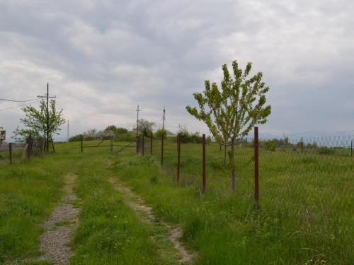 a dirt road in a field with a fence at La Casa de Habel in Quba