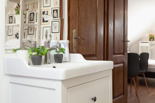 a white bathroom sink with two plants on it at Zemplén Gyöngye Vendégház in Erdőhorváti