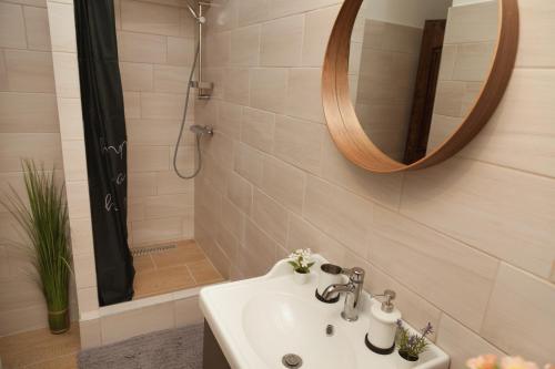 a bathroom with a sink and a mirror and a shower at Zemplén Gyöngye Vendégház in Erdőhorváti