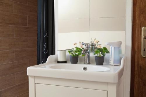 a white bathroom sink with two plants on it at Zemplén Gyöngye Vendégház in Erdőhorváti