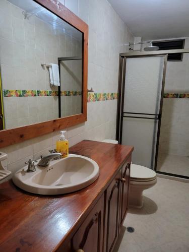a bathroom with a sink and a toilet and a mirror at Rosita 2 in Jardin