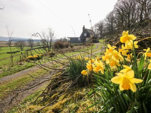 Netherscar – Photos 3
